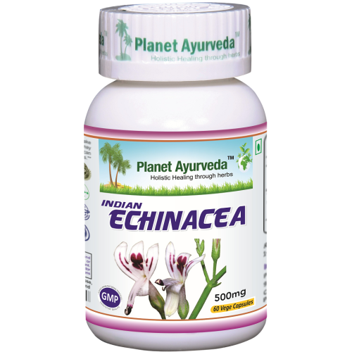 echinacea