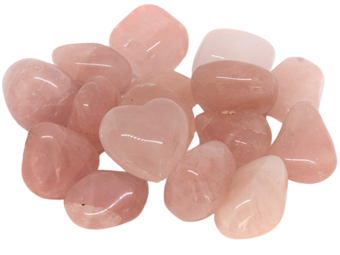 Ruženín tromlovaný